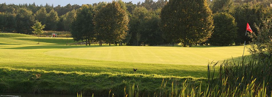 Motiv: Kur- und Kneipp-Hotel-Pension Zum Goldenen Hirsch in Bad Bevensen.