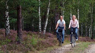 Radwandern - Foto: Heideregion Uelzen