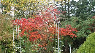 Arboretum Melzingen - Foto: PHB Arboretum Melzingen - Foto: PHB