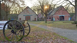 Wendland - Foto: Petra Hitz-Bergmann