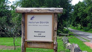 Naturum Göhrde - Foto: Petra Hitz-Bergmann Naturum Göhrde - Foto: Petra Hitz-Bergmann