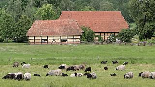 Landschaft bei Bad Bevensen - Foto: Petra Hitz-Bergmann Landschaft bei Bad Bevensen - Foto: Petra Hitz-Bergmann