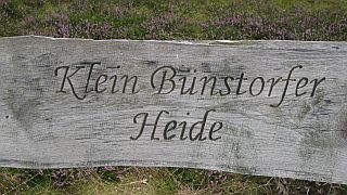 Heidelandschaft rund um Bad Bevensen auf einer Radtour entdecken © Petra Hitz-Bergmann Heidelandschaft rund um Bad Bevensen auf einer Radtour entdecken © Petra Hitz-Bergmann