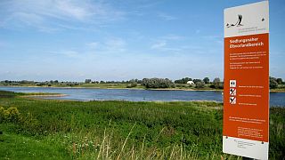 Landschaft zum Genieen - Foto: TMN