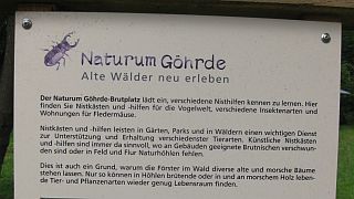 Naturum-2-320.jpg Naturum-2-320.jpg