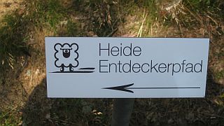 Heide-Entdeckerpfad - Foto: Petra Hitz-Bergmann